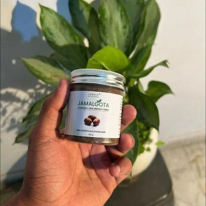 Jamalgota™ - Ayurvedic Hair Growth Powder 🌱✨ (Buy 1 Get 1 Free🔥🔥)